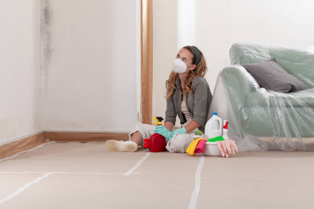 Reliable Black Mold Removal contractor in Kings Park, NY by WQB Mold Removal